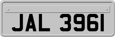 JAL3961