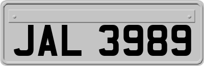 JAL3989