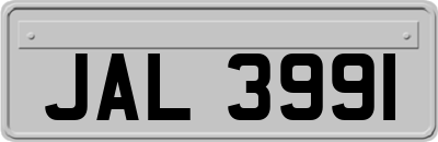 JAL3991