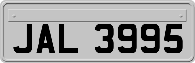 JAL3995
