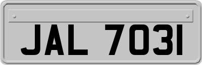 JAL7031