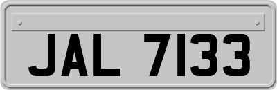 JAL7133