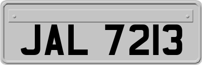JAL7213