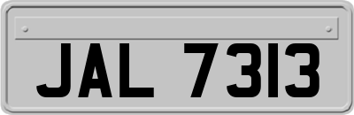 JAL7313