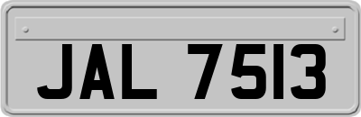 JAL7513