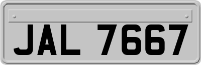 JAL7667