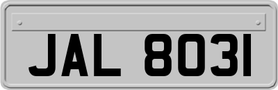 JAL8031