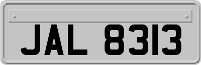 JAL8313
