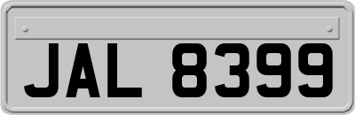 JAL8399