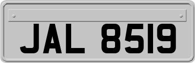 JAL8519