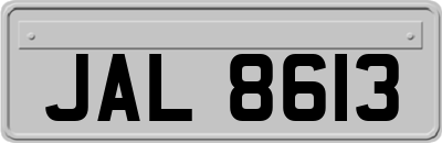 JAL8613