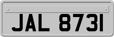 JAL8731