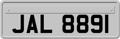 JAL8891