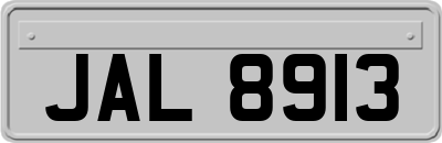 JAL8913