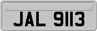 JAL9113