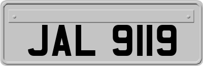 JAL9119
