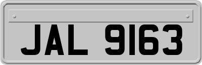 JAL9163
