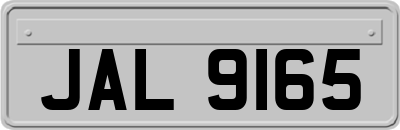 JAL9165