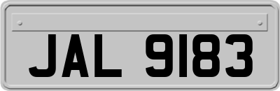 JAL9183