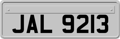 JAL9213