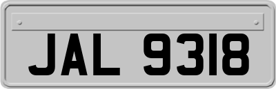 JAL9318