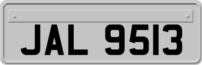 JAL9513