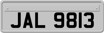 JAL9813