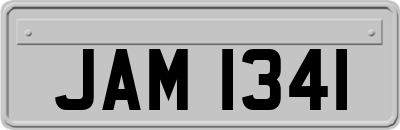 JAM1341