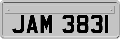 JAM3831
