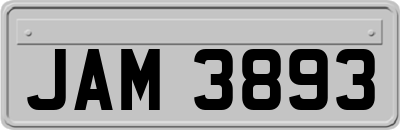 JAM3893