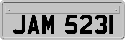 JAM5231