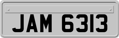 JAM6313