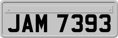 JAM7393