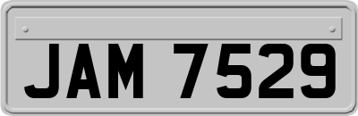 JAM7529