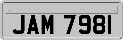 JAM7981