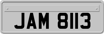 JAM8113