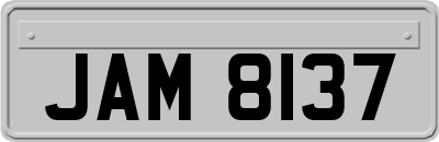 JAM8137