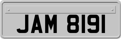 JAM8191