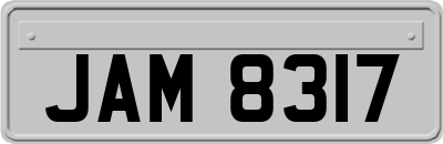 JAM8317