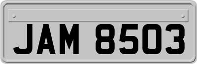 JAM8503