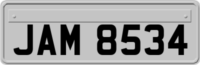 JAM8534
