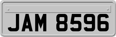 JAM8596