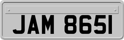 JAM8651
