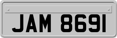 JAM8691