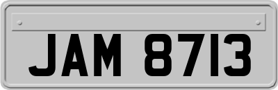 JAM8713