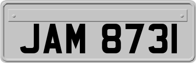 JAM8731