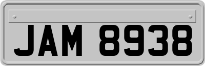 JAM8938