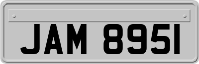 JAM8951