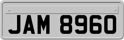 JAM8960