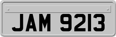 JAM9213